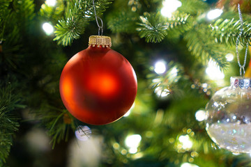Christmas red ball ornament on tree