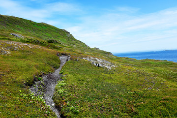 Hiking Footpath Through the Heath