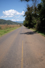 Fototapeta na wymiar Paisaje de carretera en Michoacan