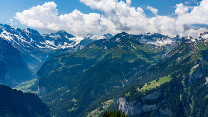 Fototapeta premium Switzerland, Panoramic view on green Alps from Schynige Platte