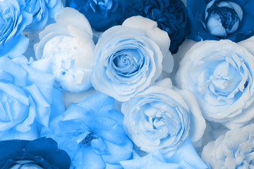 Floral pattern of colorful flowers of roses. Color of year classic blue.