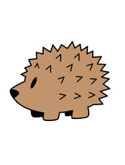 hedgehog