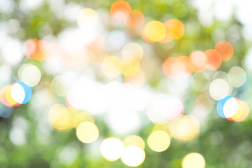 Fototapeta premium Colorful abstract green bokeh out of focus background from tree in nature