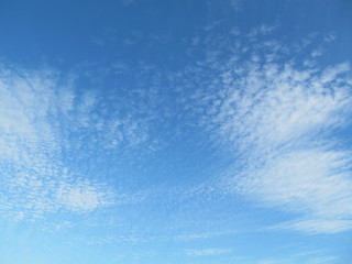 On the blue sky scattered, small flakes, white clouds