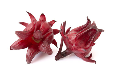 Roselle, Hibiscus sabdariffa red fruit flower on a white background.
