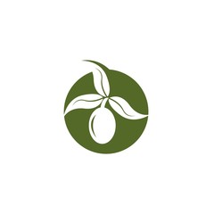 Olive logo template vector icon