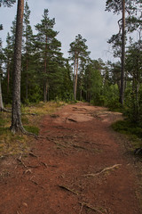 The nature of Karelia.Typical Karelian landscape on the island of Valaam: forest of conifers, Lake Ladoga, crag and volcanic rocks. Russia, Karelia