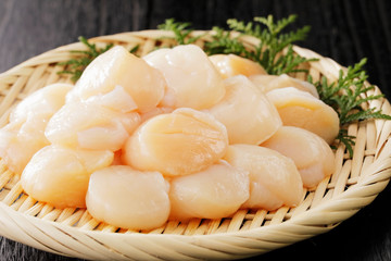 ほたて　scallops