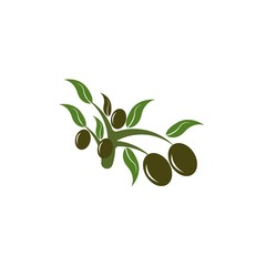 Fototapeta na wymiar Olive logo template vector icon