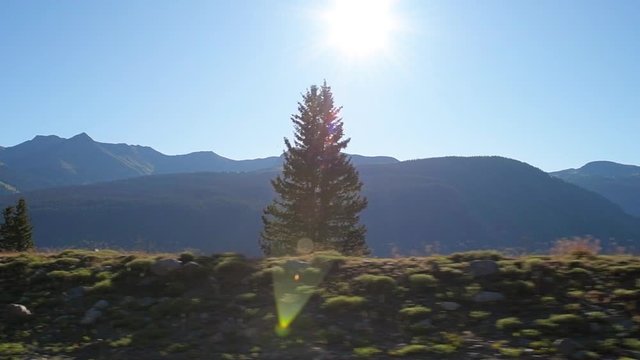 Durango to Silverton highway 550 road in Colorado driving pov panning view of forest trees in slow motion with morning sun and mirror