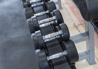 Obraz premium row of dumbbells in a modern gym