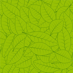 Naklejka na ściany i meble Seamless green leaf pattern background vector seamless pattern of fresh green herbarium leaves for Wallpaper