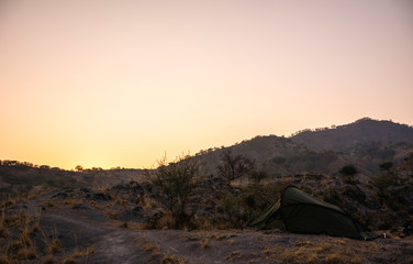 morning purple in lost canyons 