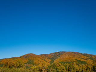 Naklejka premium つくば宝篋山の秋