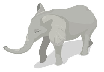 Isometric elephant vector illustration with white background.