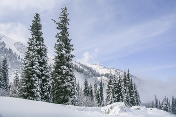 Allphotokz Tuyuk-Su 20060410 9137 5D