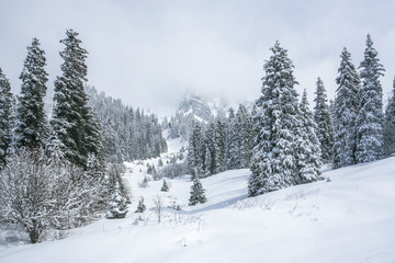 Fototapeta premium Allphotokz Tuyuk-Su 20060410 9141 5D