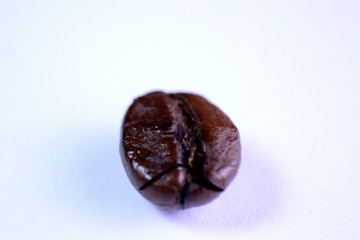 Coffee beans in white background