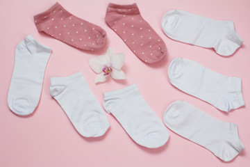 Women socks and flower buds on pink background.