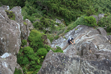 Climbing the Mountain