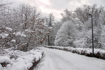Fototapeta premium Snow-covered Park, forest, large snowdrifts. Snowstorm, snowstorm, winter. Huge drifts lie on the road. During the day, fluffy white snow falls in the Park.