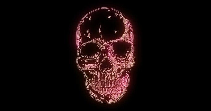 Animation of human skull from glowing neon lines flames.