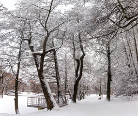 Snow-covered Park, forest. Heavy snow covered people, trees, streets, houses. Snow storm, Blizzard in the city. Huge snowdrifts lie on the road. White snow falls in the Park during the day. Winter lan