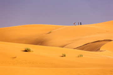 Three people on top of dunes in Desert Sahara with beautiful lines and colors at sunrise. Merzouga, Morocco