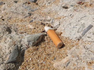 Cigarette stub  on the beach. Eco Concept photo