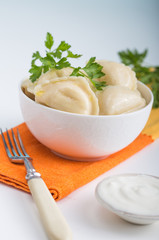 Dumplings with potato filling. Color table. Vareniki. Traditional Ukrainian food. Varenyky with potato