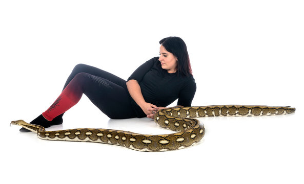 Reticulated python in studio