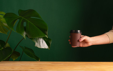 Woman holds a paper cup in her hands with a coffee tea drink on a background plant and a green...