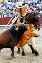 Plaza de toros corrida