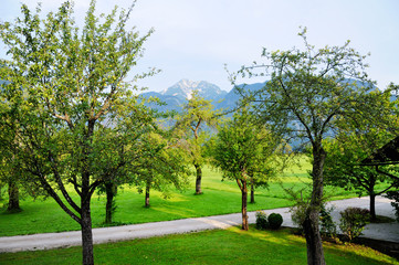 Garden with Apple trees. Green lawn and paths. Mountain peaks in the background.