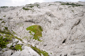 Mountains of white stone, limestone. Mountain plain with low-growing coniferous plants, covered with green moss.