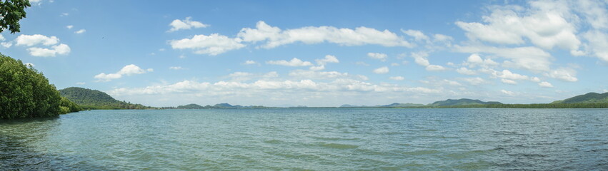Fototapeta premium Panorama beautiful landscape view of Mangrove forest with blue sky in background.