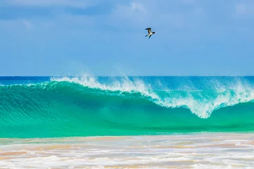 Fototapete Baia do Sancho, Fernando de Noronha Eine wunderschöne Welle, die in Baia do Sancho in Fernando de Noronha, Brasilien, zusammenbricht, wurde durchweg als einer der besten Strände der Welt eingestuft. Ein Vogel fliegt in der Nähe der Welle, die zusammenbricht.
