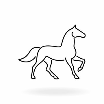 Horse outline icon. Equine line art on white background. 