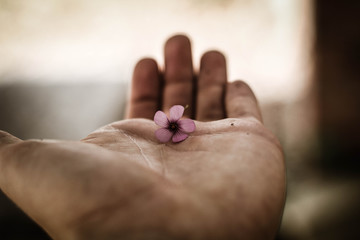 Flower in Hand