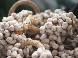 Garlic tied together in a bunch, placed in a woven basket