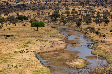 Tarangire Nationalpark – Tansania - Afrika