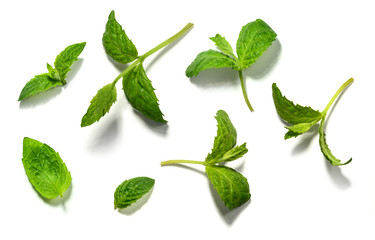 Naklejka premium Mint leaf set on white background