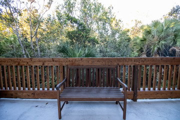 wooden bench in the park