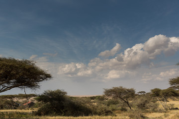 Tansania – Land