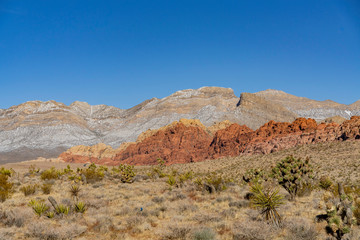 Winter snowy landscape of the famous Red Rock Canyon