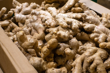 ginger root on the shelves of a hypermarket, selling vegetables.