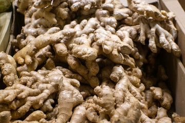 ginger root, on the shelves of a hypermarket, selling vegetables. Soft focus. Close-up