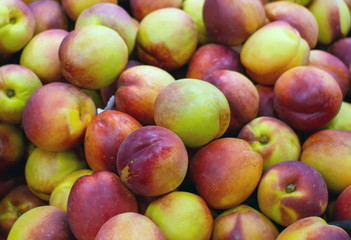 unripe nectarines background, sale of ripe fruit, texture. Selective focus