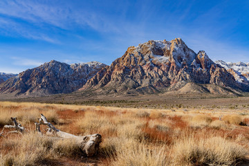 Winter snowy landscape of the famous Red Rock Canyon