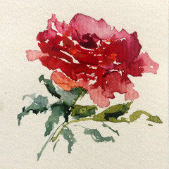 Abstract bright colored decorative background . Floral pattern handmade . Beautiful tender romantic rose flowers , made in the technique of watercolors from nature.